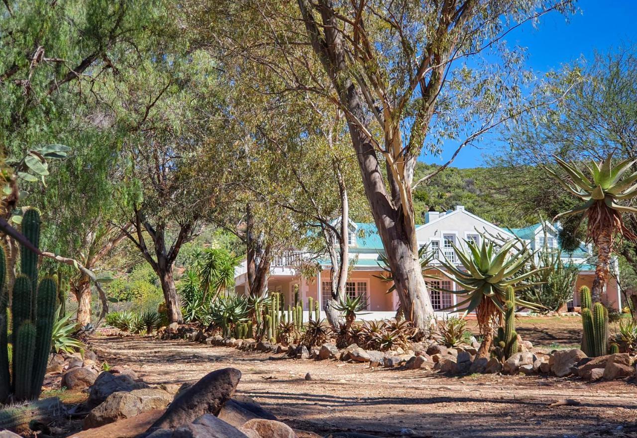 Berluda Farmhouse And Cottages Oudtshoorn Eksteriør billede